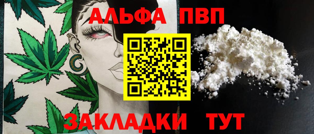 Alfa_PVP СК КРИС Боровичи