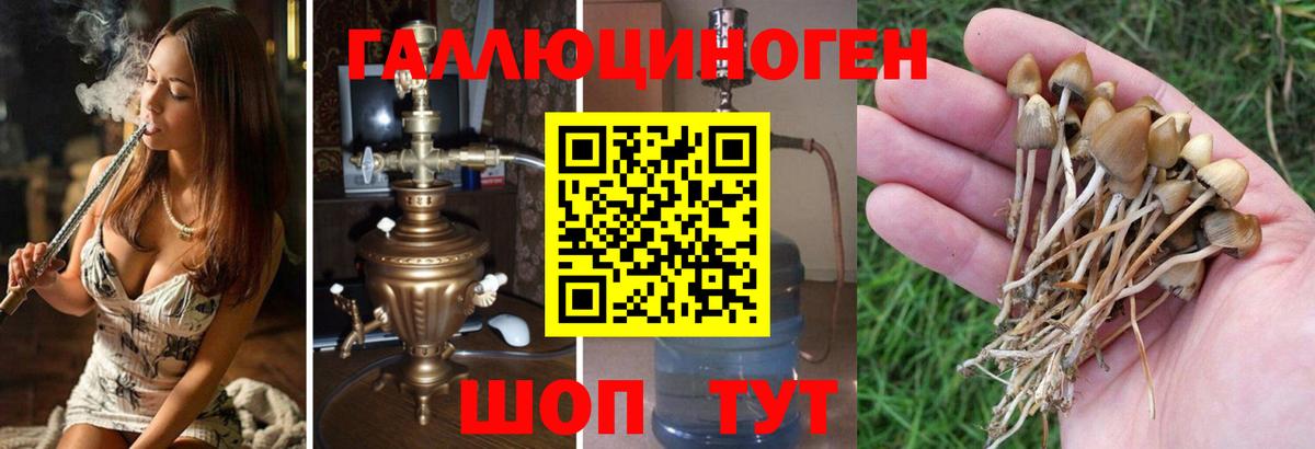 Галлюциногенные грибы MAGIC MUSHROOMS Боровичи